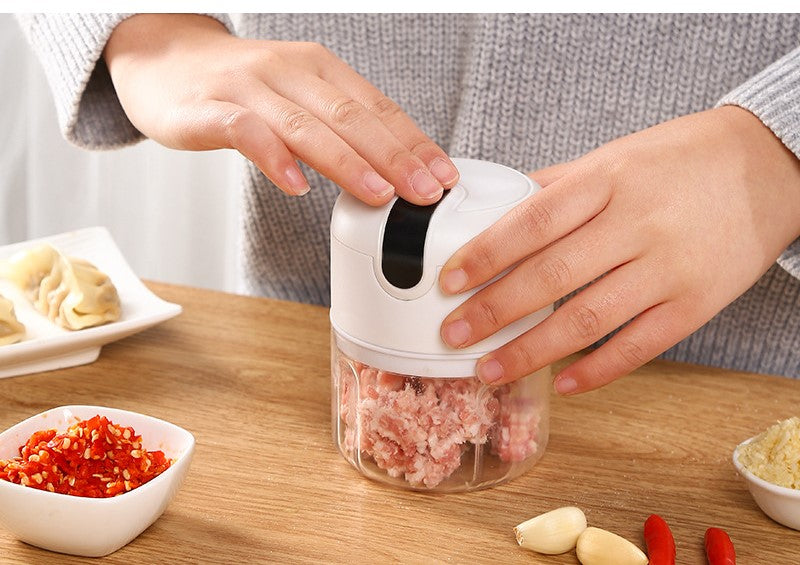 RECHARGEABLE MINI ELECTRIC CHOPPER